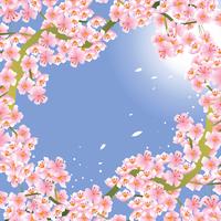 Fundo de flor rosa flor de cerejeira vetor