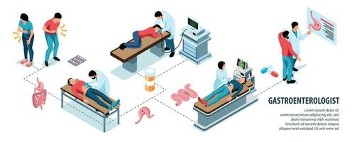 gastroenterologista isométrico infográfico vetor