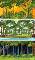 conjunto de diferentes cenas horizontais de floresta em tempos diferentes vetor