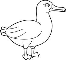 fácil coloração desenho animado vetor ilustração do a albatroz