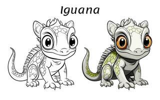 fofa iguana animal coloração livro ilustração pró vetor