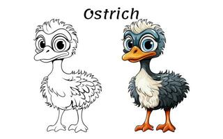fofa avestruz animal coloração livro ilustração pró vetor