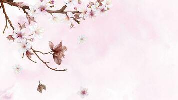 aguarela arte do cereja Flor ramo e Rosa sakura flor em manchas fundo vetor