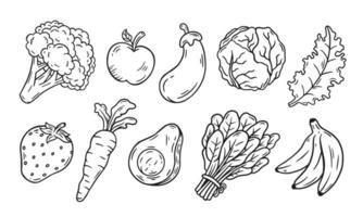 vegetal e fruta rabisco linha definir. à mão livre rabisco mão desenhado esboço estilo desenhando fruta e legumes. vetor ilustração