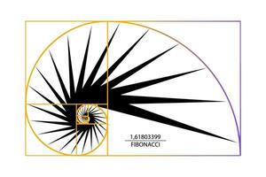 Fibonacci número seqüência. dourado razão. geométrico formas espiral. Caracol espiral. mar Concha do Preto triângulos. sagrado geometria logotipo modelo. logarítmico sequências. vetor isolado em branco fundo