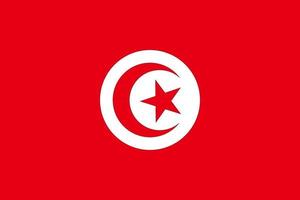 pacote de imagem vetorial da bandeira nacional da Tunísia vetor