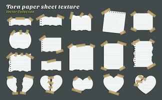 coleção do texturas do rasgado papel folhas do vários formas em uma Sombrio fundo vetor