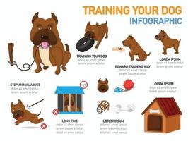 treinando seu cão infográfico, ilustração vetorial. vetor