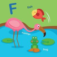 ilustração isolada letra do alfabeto f-fish, flamingo, frog.vector