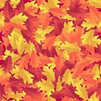padrão sem emenda com folhas de outono coloridas. vetor