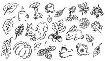 conjunto de ilustrações de outono de arte vetorial linha. coleção de decorações de outono de contorno, silhueta preta. bolotas, folhas, cogumelos, canecas isoladas no fundo branco. vetor