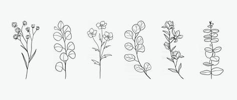 design de desenho de mão botânica mínima para logotipo e convite de casamento. arte de linha floral. flores e folhas projetam coleção para decoração de buquês, cartão e fundo de embalagem. vetor