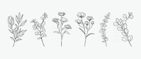 design de desenho de mão botânica mínima para logotipo e convite de casamento. arte de linha floral. flores e folhas projetam coleção para decoração de buquês, cartão e fundo de embalagem. vetor