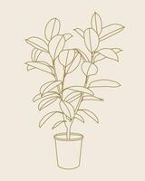 ficus árvore casa plantar linha arte ilustração. escandinavo acolhedor casa decoração silhueta símbolo. plano vetor desenho animado ícone ilustração do casa plantar isolado.