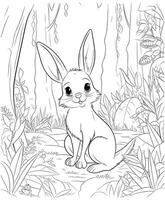 desenhos de coelho para colorir para adultos vetor