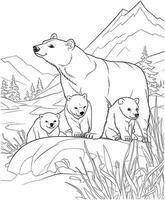 polar Urso e bebê coloração página vetor