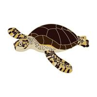 desenho animado vetor ilustração mar tartaruga natação ícone isolado em branco fundo