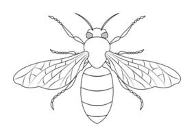 Preto e branco abelha vetor clipart. coloração página do uma abelha