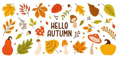 colorida outono conjunto do estação folhas, abóboras, cogumelos e nozes isolado em uma branco fundo. vetor desenho animado ilustração