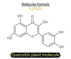 quercetina plantar molécula esquelético Fórmula vetor ilustração.