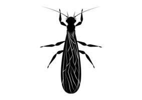 Preto e branco mosca de pedra inseto clipart vetor isolado em branco fundo