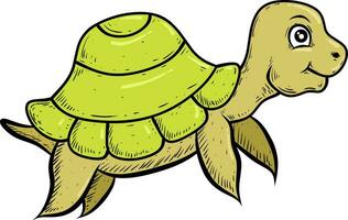 tartaruga desenho animado isolado fundo vetor