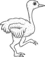 desenho animado esboço do avestruz isolado vetor