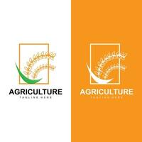 arroz logotipo, Fazenda trigo logotipo projeto, vetor símbolo ícone gráfico ilustração