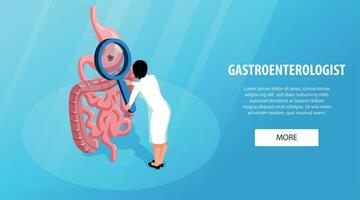 isométrico gastroenterologista bandeira vetor