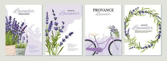 lavanda poster conjunto vetor