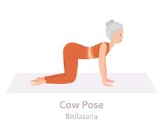 vaca ioga pose. bitilasana. idosos mulher praticando ioga asana. saudável estilo de vida. plano desenho animado personagem. vetor ilustração