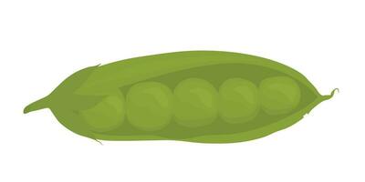ervilha vagens vetor estoque ilustração do verdes, legumes. isolado em uma branco fundo
