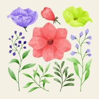 um conjunto de flores pintadas em aquarela para vários cartões e cartões comemorativos. vetor