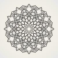 flor mandala com uma combinação do orgânico enfeites. adequado para hena, tatuagens, fotos, coloração livros. islamismo, hindu, buda, Índia, Paquistão, chinês, árabe vetor