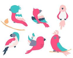 mão desenhado colorida papagaio pássaro conjunto vetor
