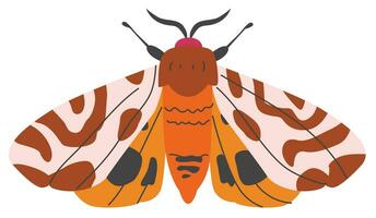 colorida desenhado à mão mariposa. verão decorativo vôo inseto com colorida asas. vetor ilustração.