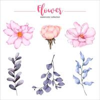 coleção de aquarela ilustração linda flor vetor