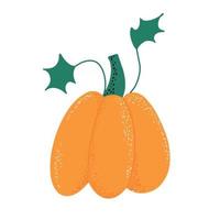 abóbora para o dia de ação de Graças e colheita de halloween design.autumn. vegetais orgânicos de outono. ilustração em vetor plana