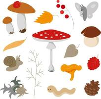 acolhedor fofa colorida outono floresta chão com cogumelos plantas criaturas vetor coleção em branco