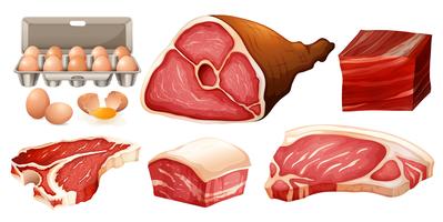 Diferentes tipos de carne fresca vetor
