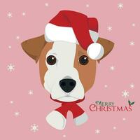 Natal cumprimento cartão. jack russell cachorro com vermelho papai noel chapéu vetor