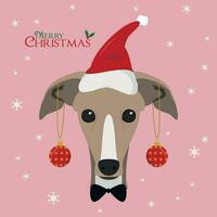 Natal cumprimento cartão. galgo cachorro com vermelho papai noel chapéu e Natal brinquedo bolas vetor