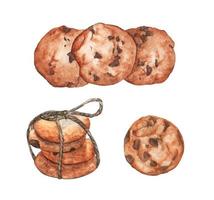 conjunto de cookies com chocolate. ilustração em aquarela. vetor