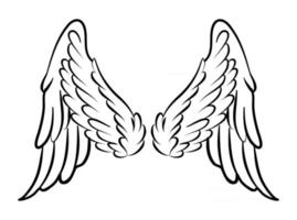 ilustração de asas de pássaro para elemento de branding vetor