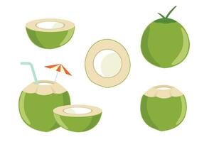 coco fruta e coco elementos vetor ilustração