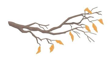 desenho animado clipart do nu ramo. rabisco do árvore ramo com caído folhas. contemporâneo vetor ilustração isolado em branco fundo.