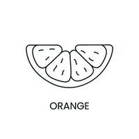laranja linha ícone dentro vetor, citrino fruta ilustração vetor