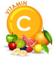 Um conjunto de frutas com alto teor de vitamina C vetor