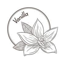 logotipo de flor de baunilha estilo vintage e modelo de emblema vetor