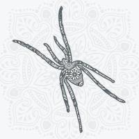 vetor de mandala de aranha. elementos decorativos vintage. padrão oriental,